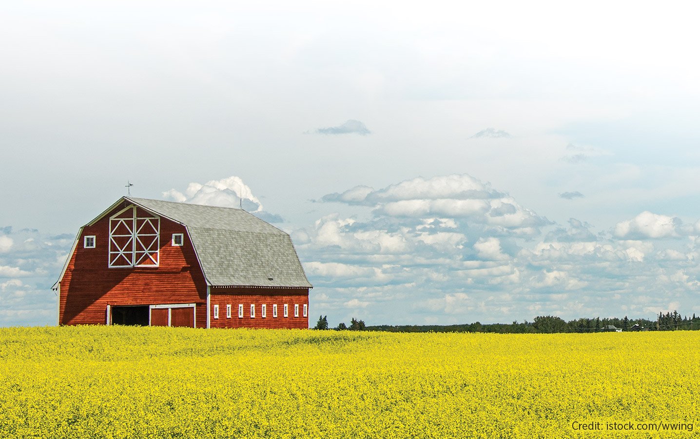 معدات زراعية